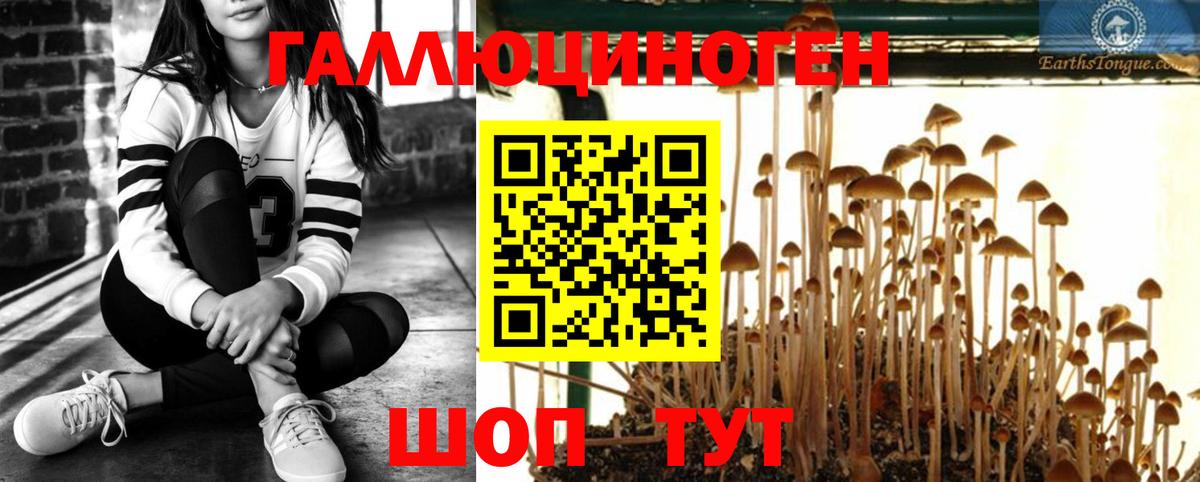 Псилоцибиновые грибы Cubensis Ирбит