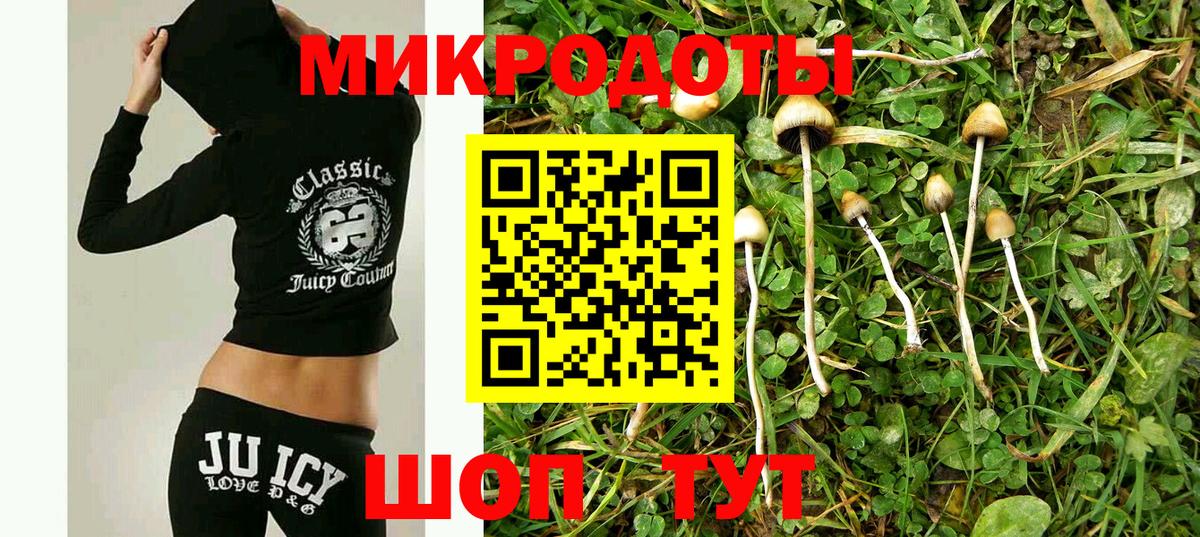 Псилоцибиновые грибы Psilocybine cubensis  Псилоцибиновые грибы мухоморы  Вход с VPN  Ирбит 
